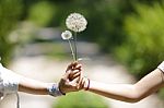 A Woman And Her Daughter Are Hand In Hand With Flower Stock Photo