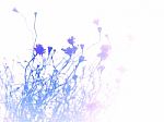 Abstract Background From Small Pretty  Daisy Flower , Blue Color Stock Photo