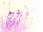 Abstract Background From Small Pretty  Daisy Flower , Purple Col Stock Photo