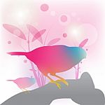 Abstract Bird Background Stock Photo