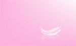 Abstract Pink Have Feather On Background Stock Photo