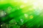 Abstract Spring Green Background  Stock Photo