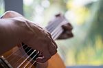 Acoustic Guitar Guitarist Playing. Musical Instrument With Perfo Stock Photo