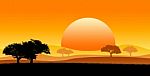 Africa Safari Stock Photo