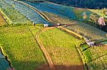 Agriculture On The Hill Stock Photo