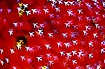 Airplane Background Bokeh Stock Photo