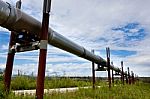 Alaska Oil Pipeline Stock Photo