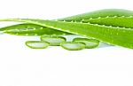 Aloe Vera Stock Photo