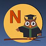 Alphabet N And Graduates Owl Stock Photo