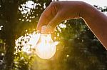 And Holding A Light Bulb With Sunset Power Concept Stock Photo