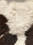 Animal Fur Texture Stock Photo