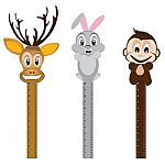 Animal On A Ruler Isolated On White Background. Object Tool For Animal Stock Photo