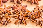 Anise Stock Photo