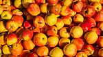 Apple Background, Apple Texture Stock Photo