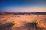 Arabic Desert Stock Photo
