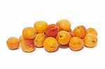 Armenian Plums (prunus Armeniaca) Stock Photo