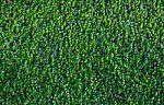 Artificial Green Grass Stock Photo