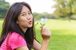 Asian Girl Stock Photo