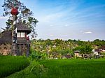 Asian Style House In A Rice Field In Bali Stock Photo