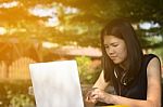 Asian Woman Or Student Using Laptop  Stock Photo
