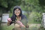 Asian Woman Planting In Home Garden Stock Photo