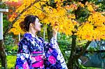 Asian Woman Wearing Japanese Traditional Kimono In Autumn Park. Japan Stock Photo