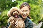 Asian Women Hug With Poodle Dog Stock Photo