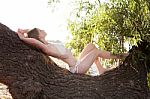 Attractive Women In Bikini  Lies On A Tree Stock Photo