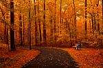 Autumn Colors Stock Photo