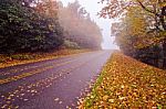 Autumn Foggy Day Along Blue Ridge Parkway Stock Photo