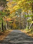 Autumn Foliage Tunnel On Bucks County Pa Road Slight Downhill Stock Photo