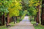 Autumn Landscape – Benches On A Beautiful Autumn Walkway In Pa Stock Photo