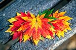 Autumn Maple Leaves On Wooden Background Stock Photo
