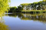 Autumn Scenery Near A Lake With Yellow Leaves On  Trees In Fall Stock Photo