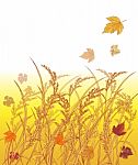 Autumn With Rice And Leaves Blackground Stock Photo