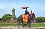 Ayuttaya Thailand - September 18, 2016: Tourists Ride Elephants  Image Id:485759761 Stock Photo