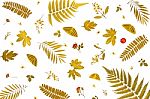 Background By Yellow Leaves And Orange Leaves And Dry Leaves And Flower Stock Photo