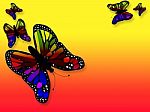 Background Multicolor With Butterfly Stock Photo