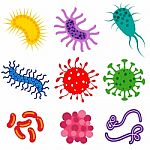 Bacteria And Germs Colorful Set Stock Photo