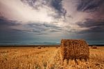 Bale Of Hay Stock Photo
