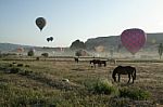 Balloons And Horses At Valley In Cappadocia Stock Photo