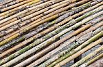 Bamboo Table Stock Photo