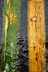 Bamboo Under Water Stock Photo