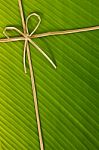 Banana Leaf And Rope Stock Photo
