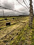 Barbed Wire Fence Stock Photo