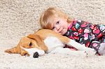 Beagle Dog And A Little Girl Stock Photo