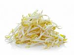 Bean Sprouts On White Background Stock Photo