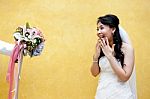 Beautiful Asian Bride Stock Photo