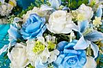 Beautiful Flowers Stock Photo
