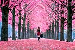 Beautiful Girl With Pink Leaves In Nami Island, South Korea Stock Photo